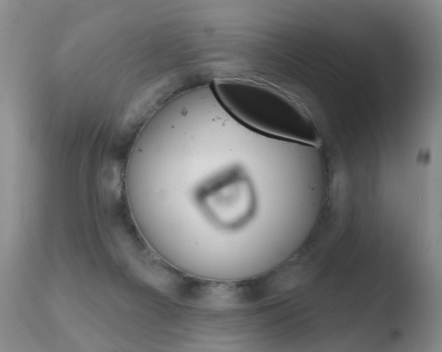 X0000110760121200906150939