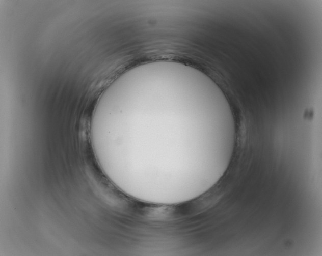 X0000110760122200906150939