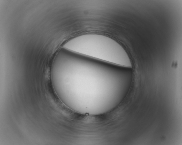X0000110760123200906150939