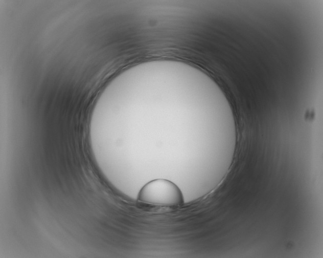X0000110760124200906150939