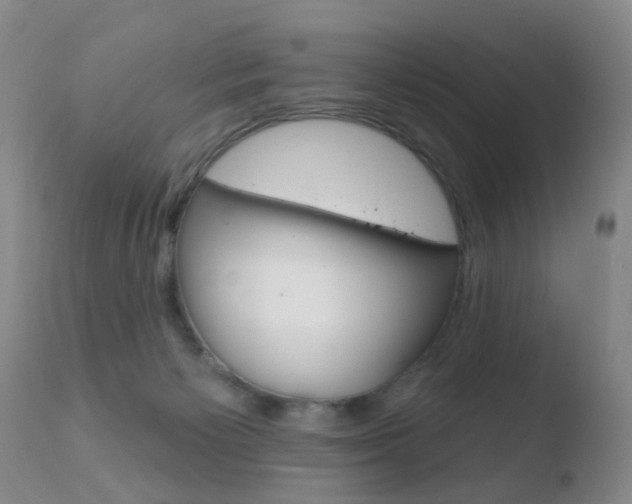 X0000110760125200906150939