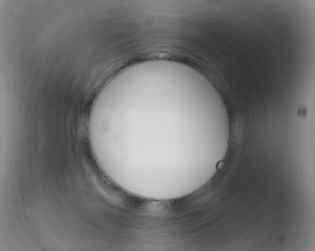X0000110760126200906150939