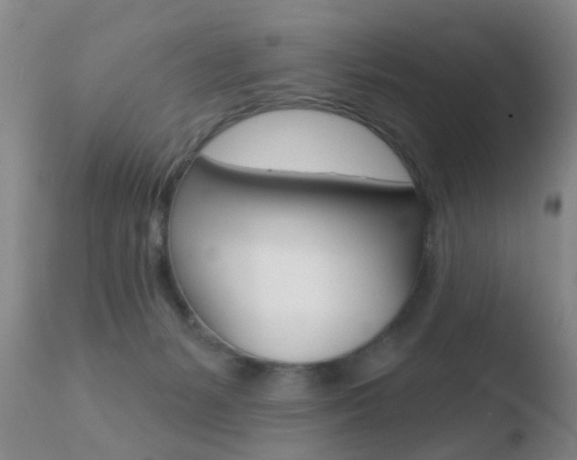 X0000110760127200906150939