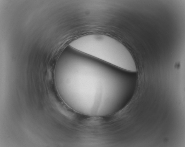 X0000110760128200906150939