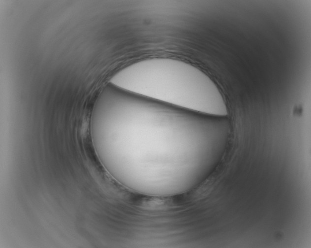 X0000110760129200906150939