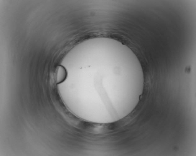 X0000110760130200906150939