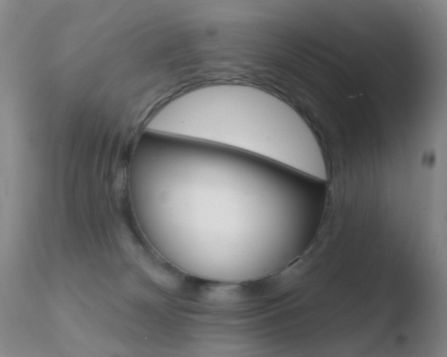 X0000110760132200906150939