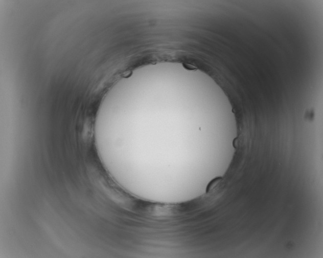 X0000110760134200906150938