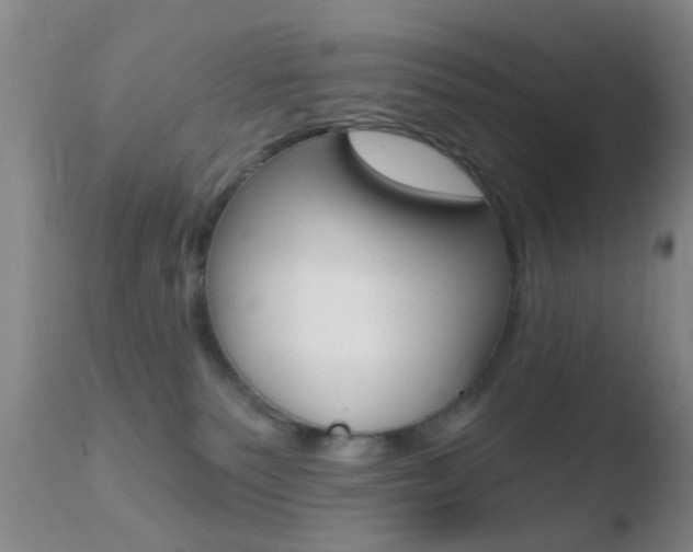 X0000110760135200906150938