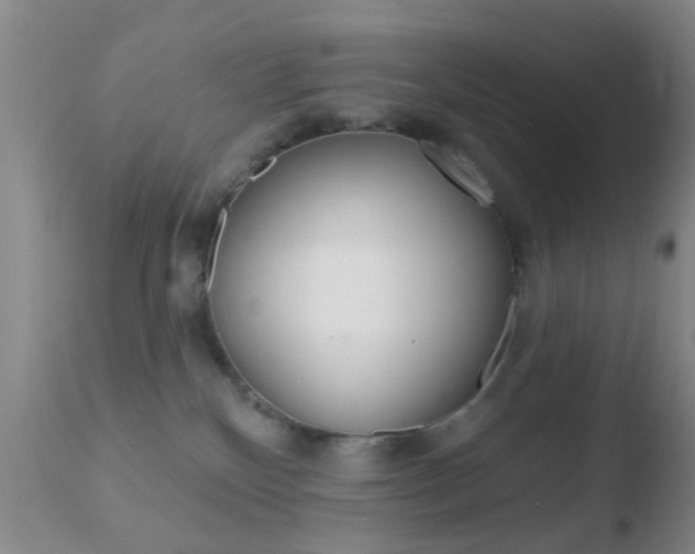 X0000110760136200906150938
