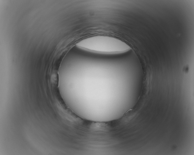 X0000110760137200906150938