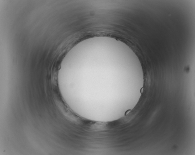 X0000110760138200906150938