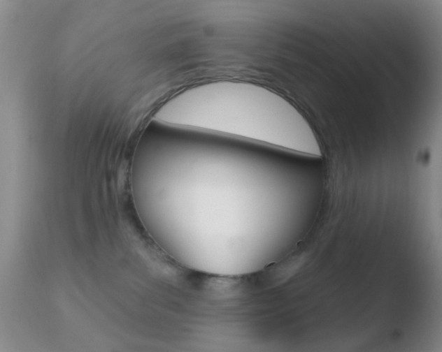 X0000110760139200906150938