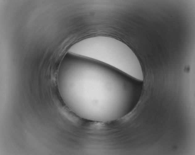 X0000110760140200906150938