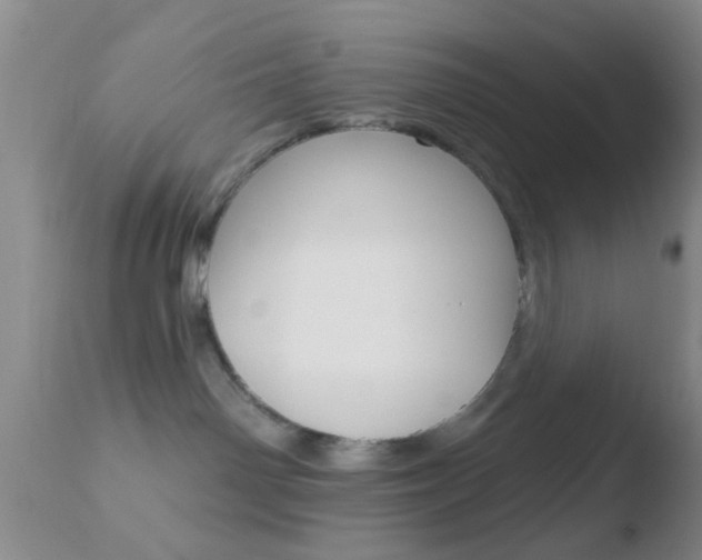 X0000110760142200906150938
