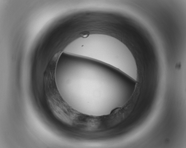 X0000110760143200906150938