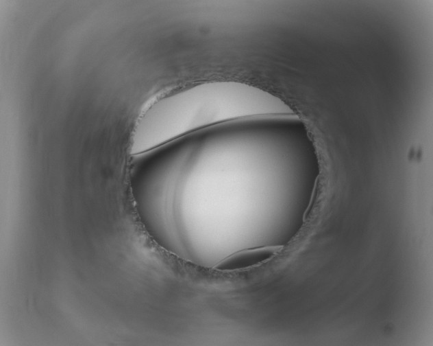 X0000110760144200906150938