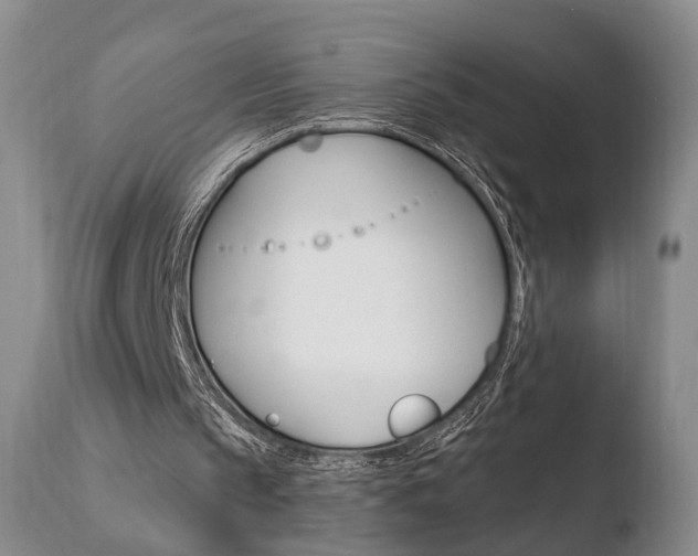 X0000110760145200906150938