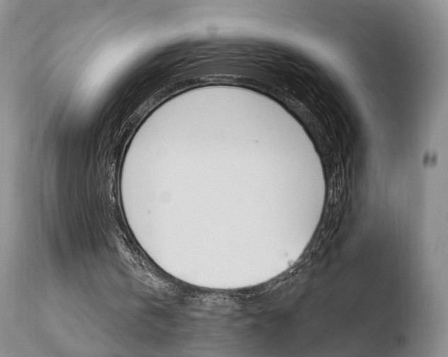 X0000110760146200906150938