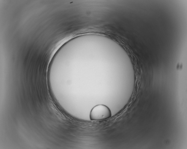 X0000110760148200906150938