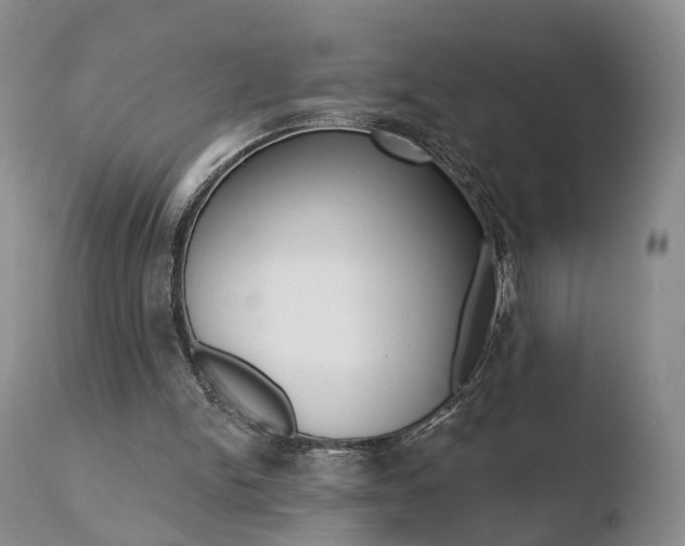 X0000110760150200906150938