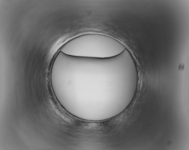 X0000110760151200906150938