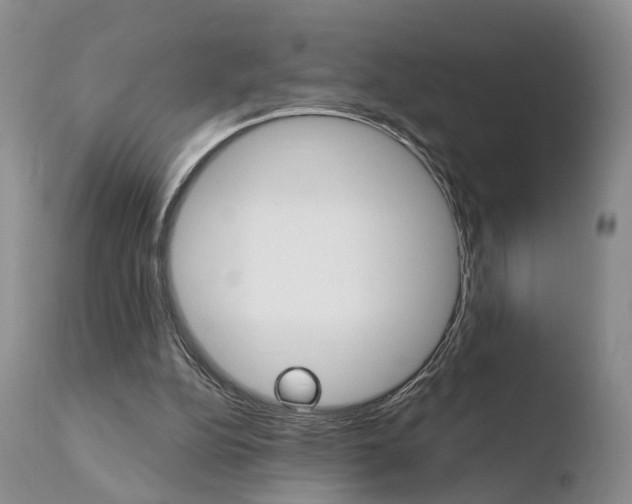 X0000110760152200906150938
