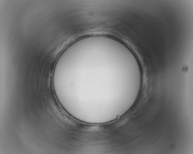 X0000110760153200906150938