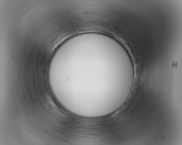 X0000110760154200906150938