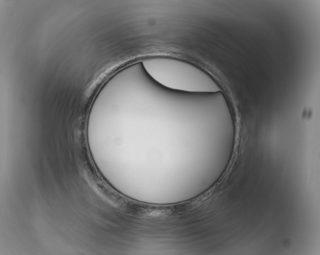 X0000110760155200906150938