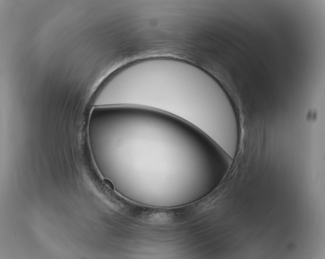 X0000110760156200906150938