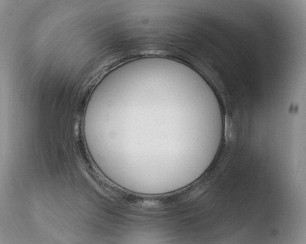 X0000110760157200906150938