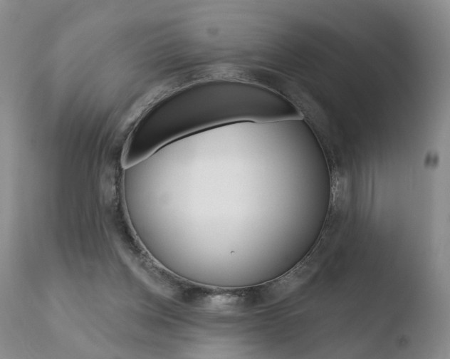 X0000110760158200906150938