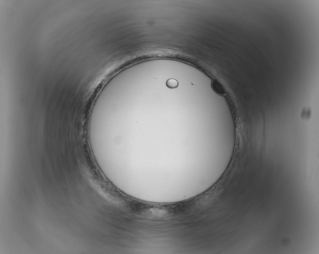 X0000110760159200906150938