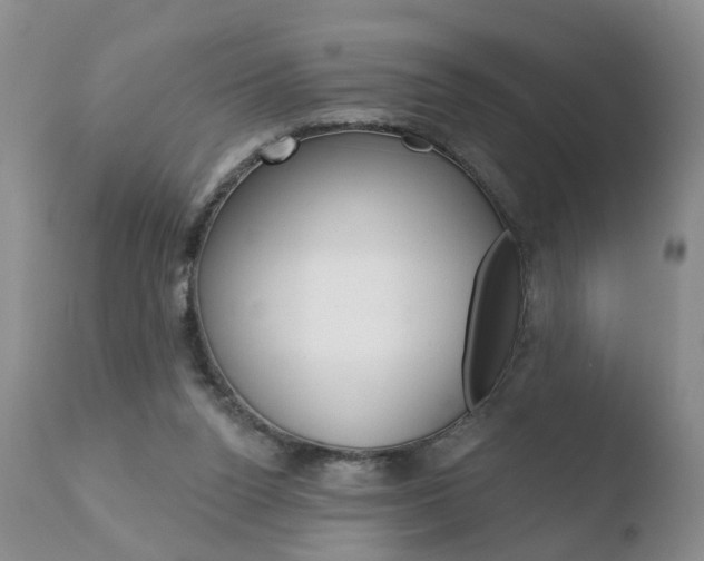 X0000110760160200906150938