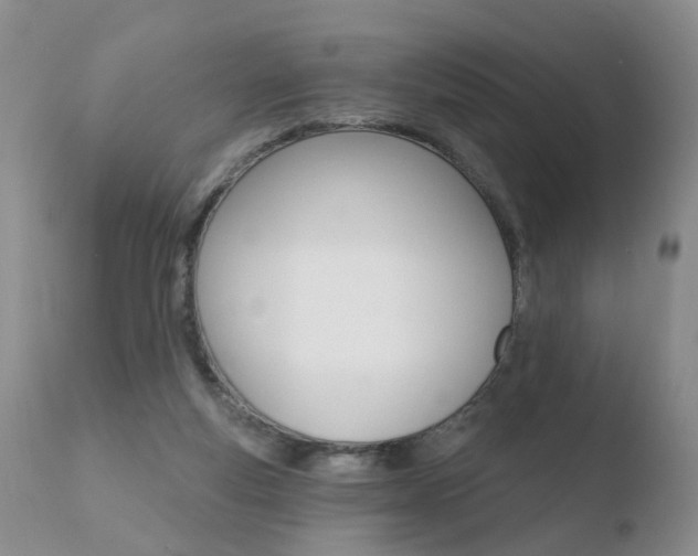 X0000110760163200906150938