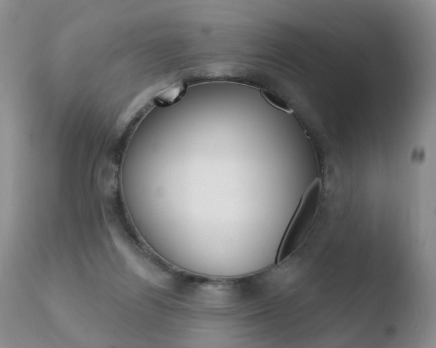 X0000110760164200906150938