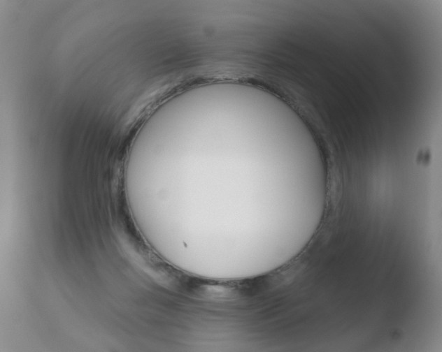 X0000110760167200906150938