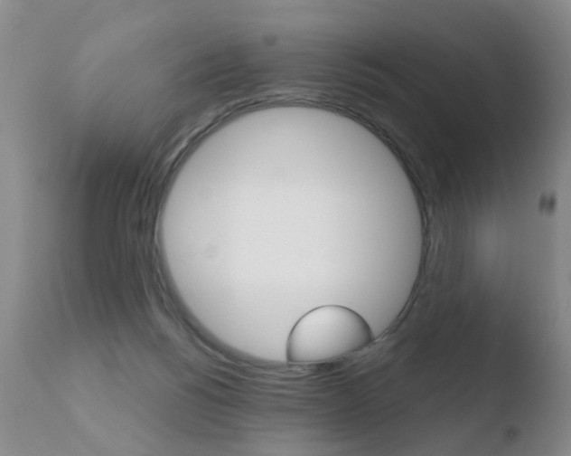 X0000110760168200906150938