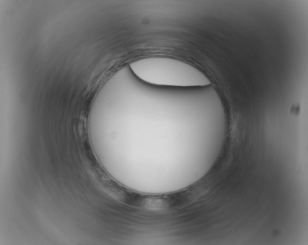 X0000110760169200906150938