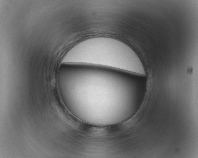 X0000110760170200906150938