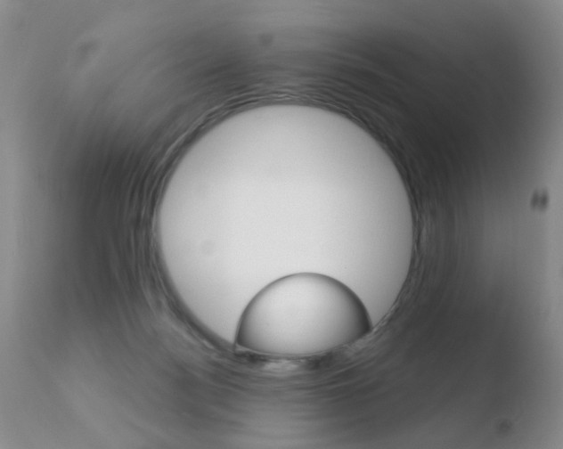X0000110760172200906150938