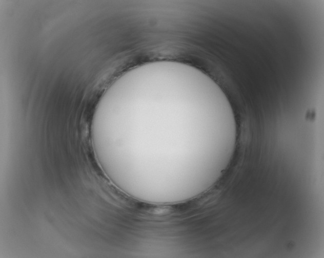 X0000110760173200906150938