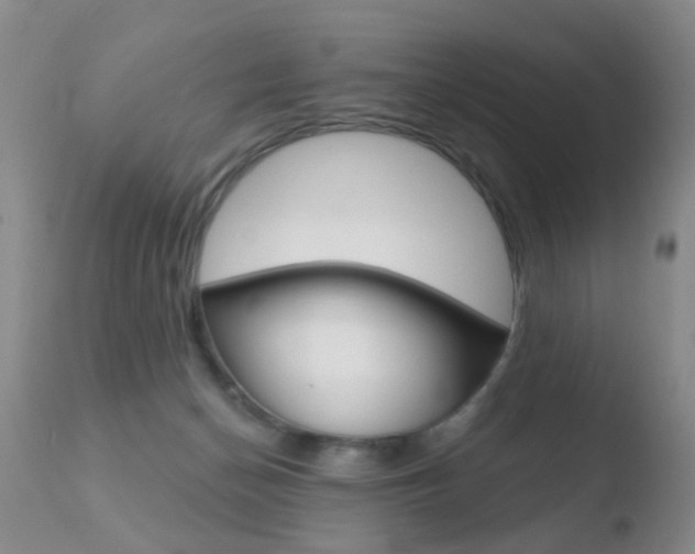X0000110760174200906150938
