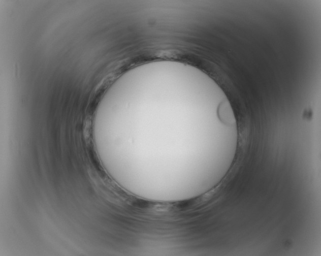 X0000110760175200906150938