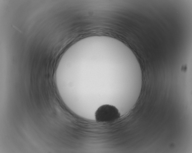 X0000110760176200906150938
