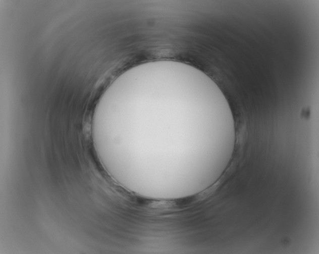 X0000110760179200906150938