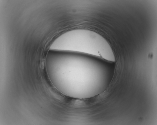 X0000110760180200906150938