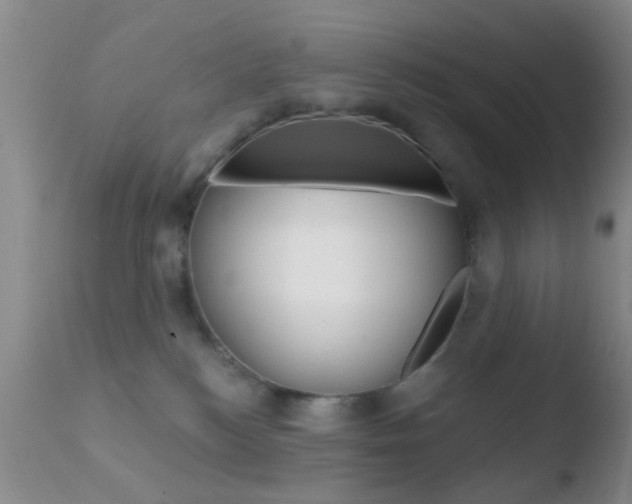 X0000110760184200906150938