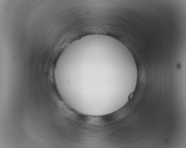 X0000110760185200906150938